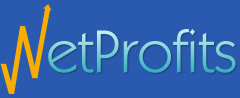 NetProfits Web Design